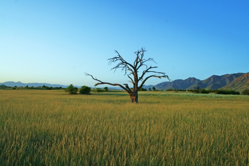 Khowarib Lodge lomgeving 3